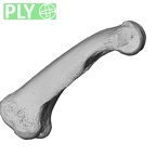 PC MER32 372 Gorilla gorilla gorilla hand phalanx second proximal right ply