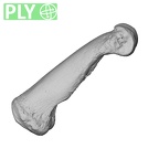 PC MER32 372 Gorilla gorilla gorilla hand phalanx third proximal right ply