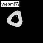 PC MER32 372 Gorilla gorilla gorilla metacarpal fifth right ct stack movie