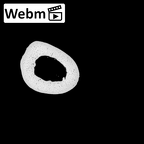 PC MER32 372 Gorilla gorilla gorilla metacarpal third right ct stack movie