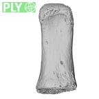 NH MER32 476 Gorilla gorilla gorilla hand phalanx fifth middle right ply