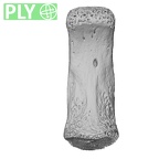 NH MER32 476 Gorilla gorilla gorilla hand phalanx second middle right ply