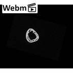 NH MER32 476 Gorilla gorilla gorilla metacarpal fifth right ct stack movie