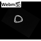NH MER32 476 Gorilla gorilla gorilla metacarpal fourth right ct stack movie