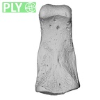 NH MER32 690 Gorilla gorilla gorilla hand phalanx fourth middle right ply