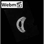 NH MER32 690 Gorilla gorilla gorilla hand phalanx second proximal right ct stack movie