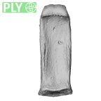NH MER32 690 Gorilla gorilla gorilla hand phalanx third proximal right ply