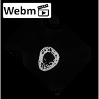 NH MER32 690 Gorilla gorilla gorilla metacarpal first right ct stack movie