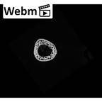NH MER32 690 Gorilla gorilla gorilla metacarpal third right ct stack movie