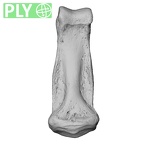 NH MER32 696 Gorilla gorilla gorilla hand phalanx fourth middle right ply