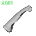 NH MER32 696 Gorilla gorilla gorilla hand phalanx second proximal right ply