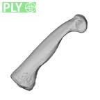 NH MER32 696 Gorilla gorilla gorilla hand phalanx third proximal right ply