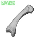 NH MER32 696 Gorilla gorilla gorilla metacarpal first right ply