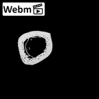 NH MER32 962 Gorilla gorilla gorilla metacarpal fourth right ct stack movie