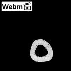 NH MER32 962 Gorilla gorilla gorilla metacarpal second right ct stack movie