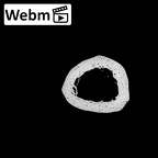 NH MER32 962 Gorilla gorilla gorilla metacarpal third right ct stack movie