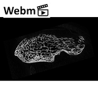 NH MER33 340 Gorilla gorilla gorilla scaphoid right ct stack movie