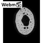 NH MER33 409 Gorilla gorilla ssp. hand phalanx first proximal right ct stack movie