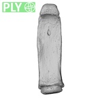 NH MER33 409 Gorilla gorilla ssp. hand phalanx fourth proximal right ply