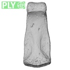 NH MER33 409 Gorilla gorilla ssp. hand phalanx second middle right ply