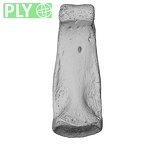 NH MER33 409 Gorilla gorilla ssp. hand phalanx third middle right ply