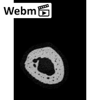 NH MER33 409 Gorilla gorilla ssp. metacarpal fifth right ct stack movie