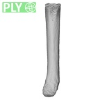 NH MER33 409 Gorilla gorilla ssp. metacarpal fifth right ply