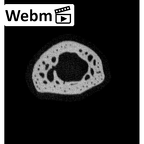 NH MER33 409 Gorilla gorilla ssp. metacarpal first right ct stack movie