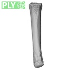 NH MER33 409 Gorilla gorilla ssp. metacarpal fourth right ply
