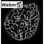 NH MER33 471 Gorilla gorilla ssp. carpal ct stack movie
