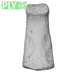 NH MER33 471 Gorilla gorilla ssp. hand phalanx second middle right ply