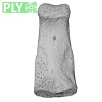 NH MER33 471 Gorilla gorilla ssp. hand phalanx third middle right ply