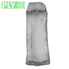 NH MER33 471 Gorilla gorilla ssp. hand phalanx third proximal right ply