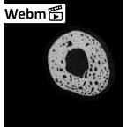 NH MER33 471 Gorilla gorilla ssp. metacarpal fifth right ct stack movie