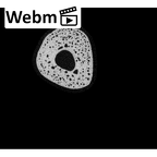NH MER33 471 Gorilla gorilla ssp. metacarpal second right ct stack movie