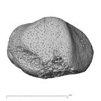trapezium left