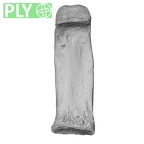 NH MER33 756 Gorilla gorilla ssp. hand phalanx fifth proximal right ply