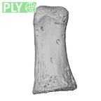 NH MER33 756 Gorilla gorilla ssp. hand phalanx first proximal right ply