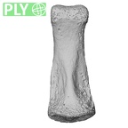 NH MER33 756 Gorilla gorilla ssp. hand phalanx middle ply