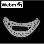 NH MER33 756 Gorilla gorilla ssp. hand phalanx second proximal right ct stack movie