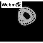 NH MER33 756 Gorilla gorilla ssp. metacarpal fifth right ct stack movie
