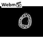 NH MER33 756 Gorilla gorilla ssp. metacarpal first right ct stack movie