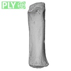 NH MER33 756 Gorilla gorilla ssp. metacarpal first right ply