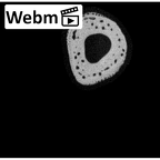NH MER33 756 Gorilla gorilla ssp. metacarpal second right ct stack movie
