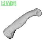 NH MER34 856 Gorilla gorilla gorilla hand phalanx fifth proximal left ply