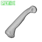 NH MER34 856 Gorilla gorilla gorilla hand phalanx fourth proximal left ply