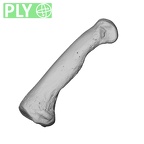 NH MER34 856 Gorilla gorilla gorilla hand phalanx second proximal left ply