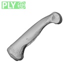 NH MER34 856 Gorilla gorilla gorilla hand phalanx third proximal left ply