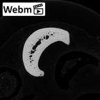 NH MER34 879 Gorilla gorilla gorilla hand phalanx fourth proximal left ct stack movie