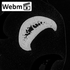 NH MER34 879 Gorilla gorilla gorilla hand phalanx second proximal left ct stack movie